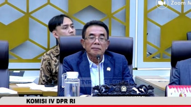 Berpotensi Ancam Keberlangsungan Petani Tembakau, DPR RI Minta Pemerintah Kaji Ulang Rancangan Aturan Pembatasan Nikotin dan Tar