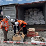 Penyelundupan 3 Ton Sisik Trenggiling ke Kamboja Terbongkar, Kemenhut Kejar Jaringan Internasional