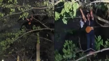 Niat Hati Mau Kabur, Waria ini Justru Pilih Memanjat pohon Buat Hindari Kejaran Warga Viral