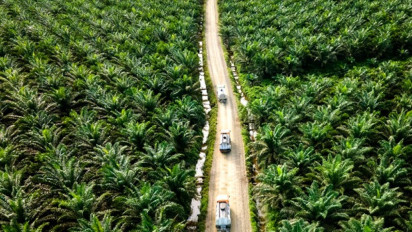 Industri Sawit Nasional Masih Memerlukan Diplomasi Sawit untuk Hadapi Diskriminasi Perdagangan