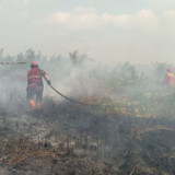 Petugas Gabungan Cepat Tangani Karhutla di Blora dan Klaten