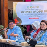 Sidak Wilayah Tambang Emas di Banyuwangi, DPR RI Temui Dugaan Pelanggaran