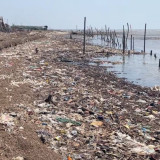 Pantai Lestari Pati Berubah Jadi Lautan Sampah, Limbah Industri Tutupi Garis Pantai