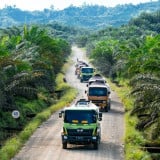 Indonesia Dinilai Perlu Bertransformasi Menjadi Pusat Hilirisasi Sawit Global