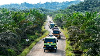Indonesia Dinilai Perlu Bertransformasi Menjadi Pusat Hilirisasi Sawit Global