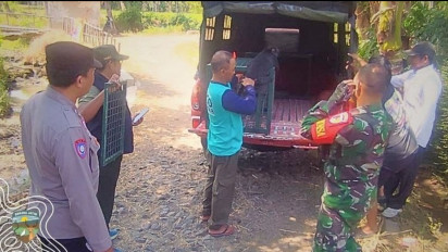 Kemenhut Selamatkan Lutung Jawa di Bondowoso, Ajak Warga Dukung Konservasi