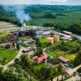 Indonesia Didorong Mengoptimalkan Potensi Sawit sebagai Sumber Energi Terbarukan