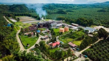 Indonesia Didorong Mengoptimalkan Potensi Sawit sebagai Sumber Energi Terbarukan