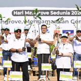 Peringati Hari Mangrove Sedunia, HIPMI Jaya dan HIPMI Jakarta Utara  Bersama Para Kolaborator Menanam 21.060 Bibit Mangrove