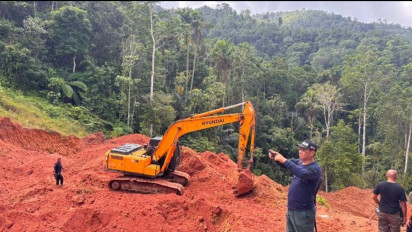 Berkat Laporan Warga, Kementerian Kehutanan Bongkar Tambang Emas Ilegal di Hutan Sulawesi