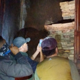 Truk Pengangkut 598 Batang Kayu Ilegal Disita di Sumut, Dirjen Gakkum Telusuri Aktor Intelektualnya