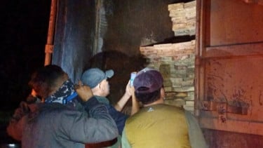 Truk Pengankut 598 Batang Kayu Ilegal Disita di Sumut, Dirjen Gakkum Telusuri Aktor Intelektualnya
