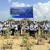 Peringati Hari Mangrove Sedunia, PNM Hadirkan Dampak Berantai bagi Lingkungan dan Ekonomi Pesisir