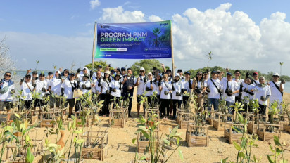 Peringati Hari Mangrove Sedunia, PNM Hadirkan Dampak Berantai bagi Lingkungan dan Ekonomi Pesisir