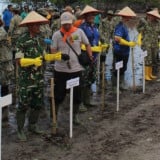 Upaya Jaga Kelestarian Alam, 10 Ribu Mangrove Ditanam di Tapanuli Tengah