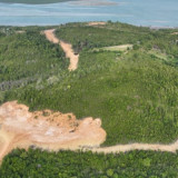 Kasus Perambahan Hutan Lindung Tanjung Piayu Naik ke Korporasi, Kemenhut Tetapkan PT GTP Tersangka