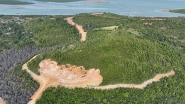 Kasus Perambahan Hutan Lindung Tanjung Piayu Naik ke Korporasi, Kemenhut Tetapkan PT GTP Tersangka
