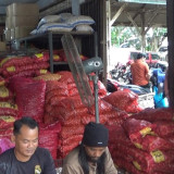 Marak Bawang Impor Ilegal di Tanjungpinang, Karantina, Dinas Perdagangan dan Pertanian Saling Lempar Tanggung Jawab