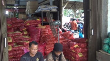 Marak Bawang Impor Ilegal di Tanjungpinang, Karantina, Dinas Perdagangan dan Pertanian Saling Lempar Tanggung Jawab