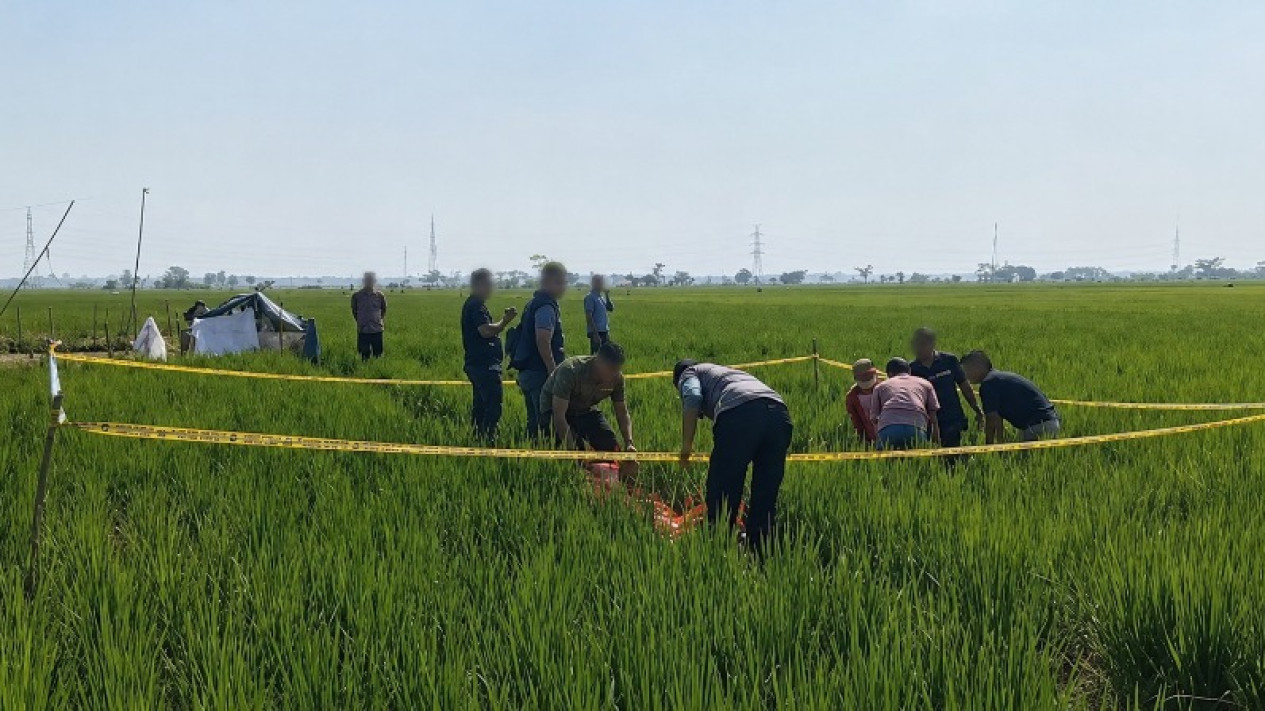 Kronologi Perangkat Desa di Pekalongan Ditemukan Tewas di Sawah, Berawal dari Pelaku Kesal Sering Disuruh
            - galeri foto