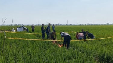 Kronologi Perangkat Desa di Pekalongan Ditemukan Tewas di Sawah, Berawal dari Pelaku Kesal Sering Disuruh