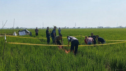 Kronologi Perangkat Desa di Pekalongan Ditemukan Tewas di Sawah, Berawal dari Pelaku Kesal Sering Disuruh