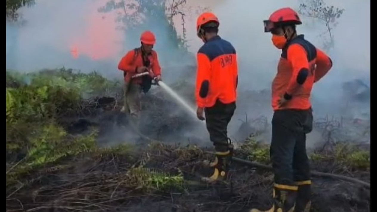Karhutla Kalbar Terluas se-Indonesia, BPBD Tetapkan Status Siaga Darurat Bencana Asap
            - galeri foto