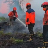 Karhutla Kalbar Terluas se-Indonesia, BPBD Tetapkan Status Siaga Darurat Bencana Asap
