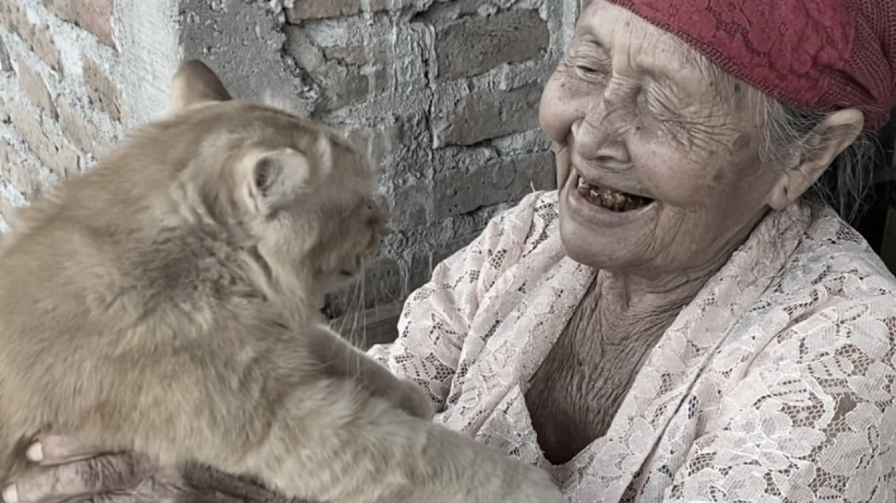 Yanto Kucing Oren Peliharaan Simbok Tukinil yang Punya 250 Ribu Followers Mati, Begini Penyebabnya
            - galeri foto