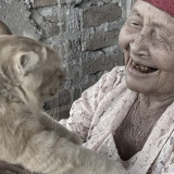 Yanto Kucing Oren Peliharaan Simbok Tukinil yang Punya 250 Ribu Followers Mati, Begini Penyebabnya