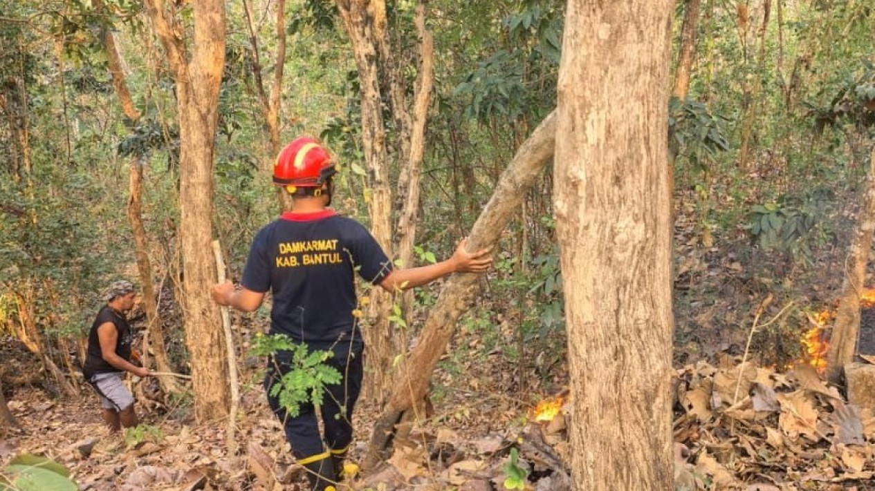 Kobaran Api Hanguskan 300 Meter Persegi Hutan Sultan Ground di Imogiri, Medan Curam Hambat Pemadaman
            - galeri foto
