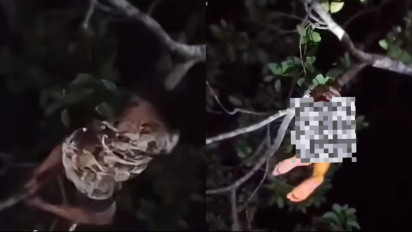 Viral Video Ibu Hamil Muda 'Nyangkut' di Atas Pohon di Tengah Hutan, Warga Heboh Dugaan Kesurupan