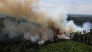 Karhutla Kalbar Meluas, BPBD Fokus Padamkan Kebakaran di 3 Kabupaten Terbesar