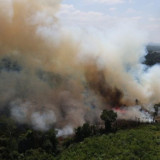 Hadapi Musim Kemarau, Kemenhut Perkuat Sinergi Pencegahan Karhutla di Jambi