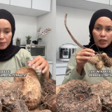 Ramai Soal  Duta Ketahanan Pangan  dan Kimpul di Media Sosial, Kenapa Bisa Sampai Viral?