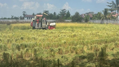 Kekeringan Mulai Melanda Kalimantan Selatan, 6.691 Hektar Lahan Pertaian Terdampak