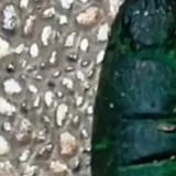 Pemuda Ngaku-ngaku Dibegal hingga Jari Putus Demi Konten, Padahal Potongan Wortel