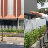 KDM Geram! 10 Pohon Peneduh di Bandung Ditebang Diam-Diam: Pejabat Lalai Harus Diberi Sanksi!