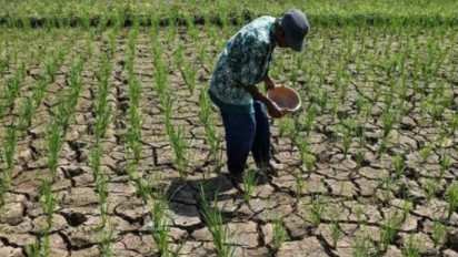 Analisis BMKG: Kemarau 2026 Diprediksi Menyerupai Karakteristik El Nino 2023