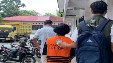 Kemenhut Tangkap 3 Pelaku Illegal Logging di SM Kerumutan Riau