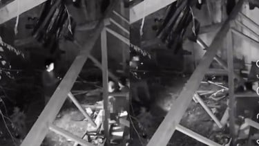Viral Video CCTV Diduga Hubungan Sesama Jenis di Kabupaten Buol, Kabarnya Pelaku Orang Dewasa dan Anak-anak