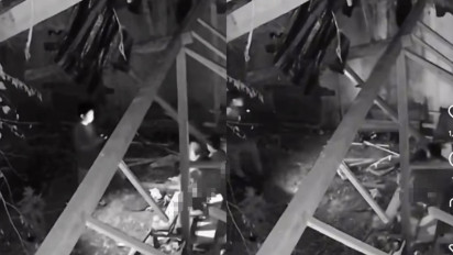 Viral Video CCTV Diduga Hubungan Sesama Jenis di Kabupaten Buol, Kabarnya Pelaku Orang Dewasa dan Anak-anak