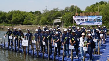 Penanaman 3.250 Mangrove di Pesisir Jakarta Diarahkan untuk Perkuat Ketahanan Iklim dan Kurangi Risiko Bencana
