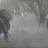Kemenhut Bergerak Cepat Padamkan Kebakaran di Gunung Gede Pangrango, Pendakian Ditutup