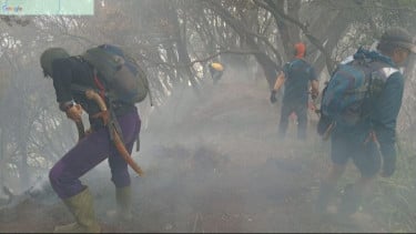 Kemenhut Bergerak Cepat Padamkan Kebakaran di Gunung Gede Pangrango, Pendakian Ditutup