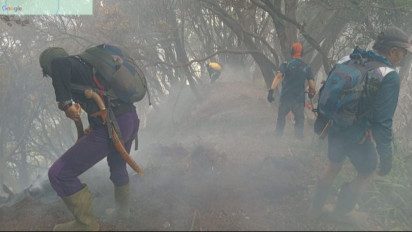 Kemenhut Bergerak Cepat Padamkan Kebakaran di Gunung Gede Pangrango, Pendakian Ditutup