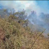 Karhutla Bromo Semeru Meluas Dekati Permukiman Warga Lumajang