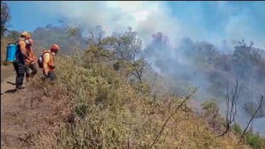 Karhutla Bromo Semeru Meluas Dekati Permukiman Warga Lumajang