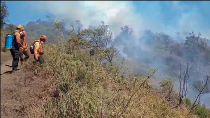 Karhutla Bromo Semeru Meluas Dekati Permukiman Warga Lumajang