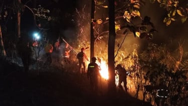 Kebakaran Lahan Pehutani di Ciamis Dipastikan Tidak Meluas